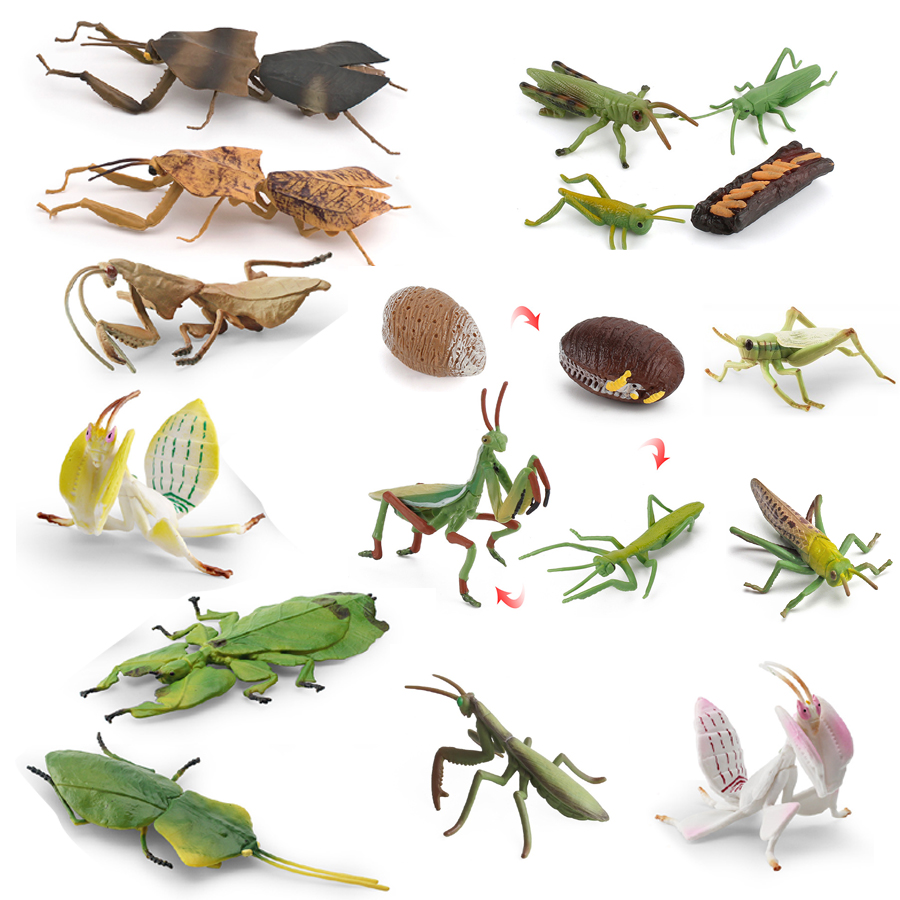 Realistic Orchid Mantis Dead L - đánh giá và giá Home Improvement Kids
