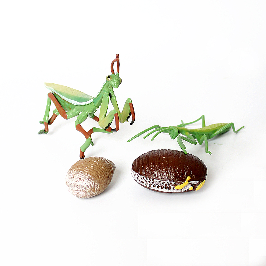 Realistic Orchid Mantis Dead L - đánh giá và giá Home Improvement Kids